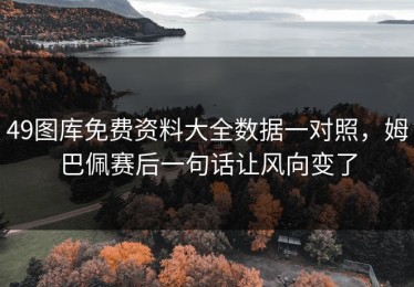 49图库免费资料大全数据一对照，姆巴佩赛后一句话让风向变了