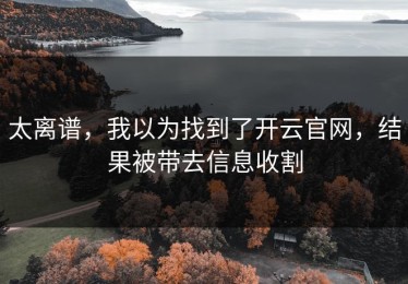 太离谱，我以为找到了开云官网，结果被带去信息收割