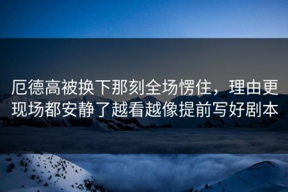 厄德高被换下那刻全场愣住，理由更现场都安静了越看越像提前写好剧本