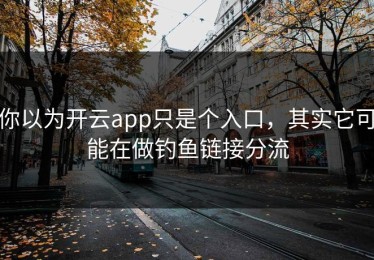 你以为开云app只是个入口，其实它可能在做钓鱼链接分流