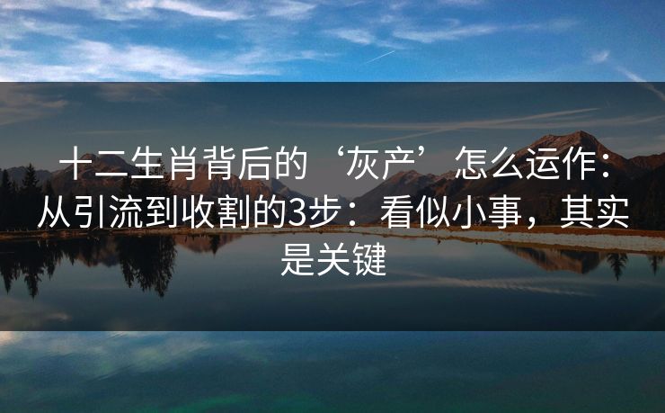 十二生肖背后的‘灰产’怎么运作：从引流到收割的3步：看似小事，其实是关键