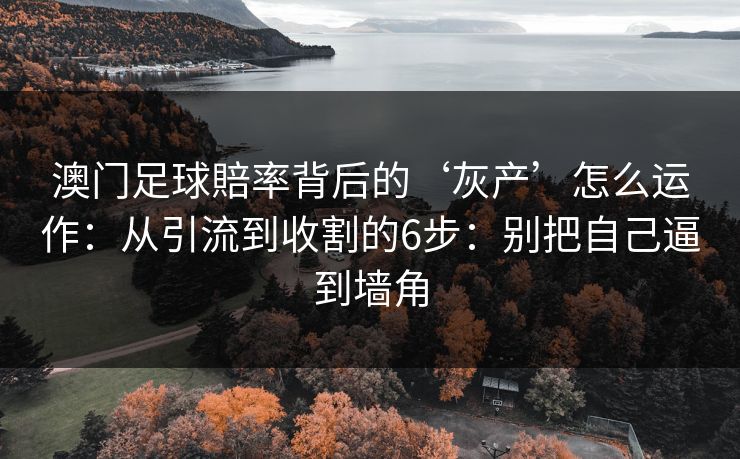 澳门足球賠率背后的‘灰产’怎么运作：从引流到收割的6步：别把自己逼到墙角