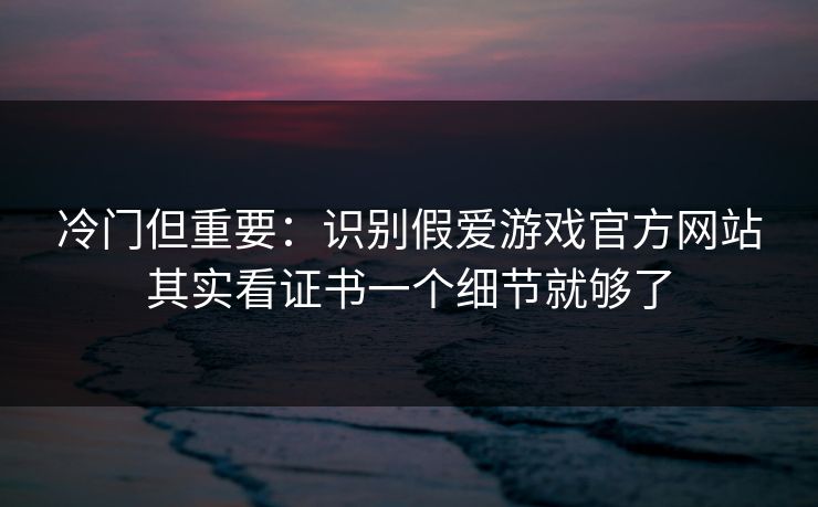 冷门但重要：识别假爱游戏官方网站其实看证书一个细节就够了